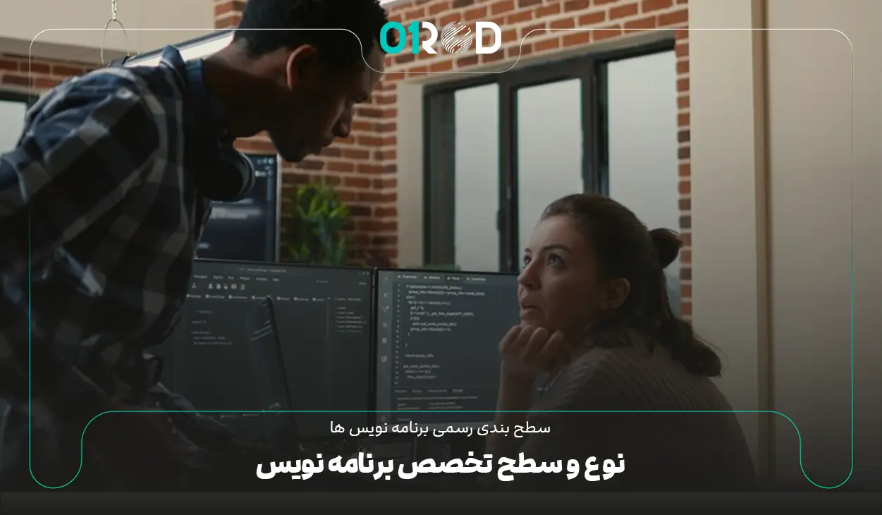 به هر برنامه نویس چقدر پول میدهند؟